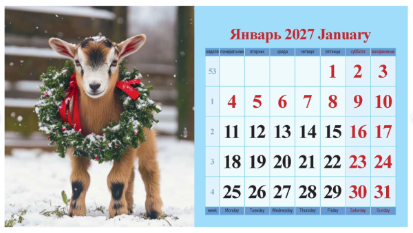 2026-06-19_16-16-28
